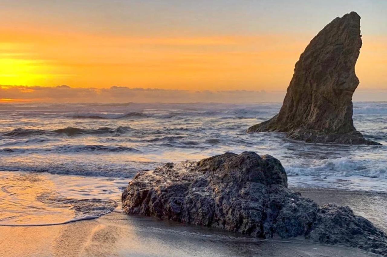 Sand Dollar Shore Fort Bragg Extérieur photo